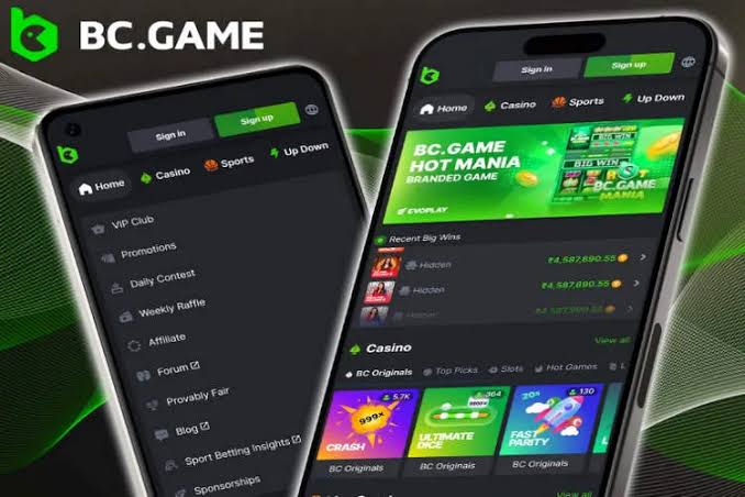 Experience the Thrill Official Online Casino BC.Game